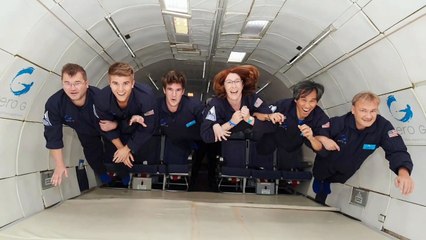 Weird Jobs You Had No Idea Existed  || Parabolic Expert