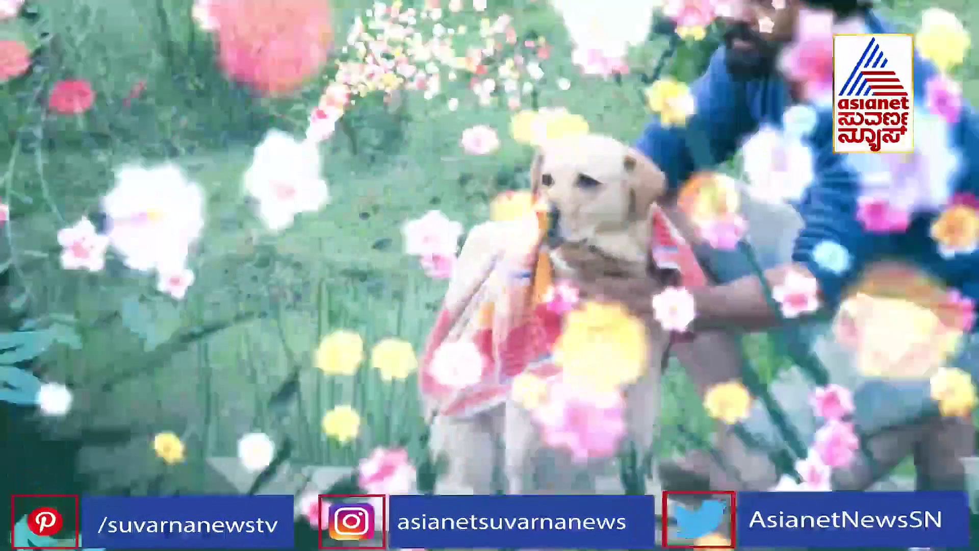 777 ಚಾರ್ಲಿ ಎರಡನೇ ಭಾಗ ಬರುತ್ತಾ?; ಕಷ್ಟ ಹಂಚಿಕೊಂಡ ನಿರ್ದೇಶಕ ಕಿರಣ್ ರಾಜ್