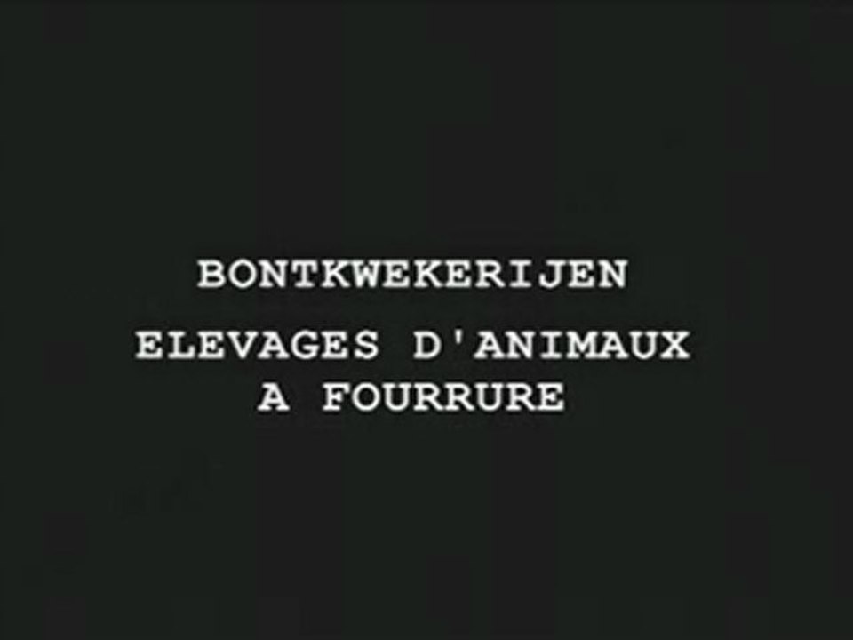 GAIA Fourrures renards et visons