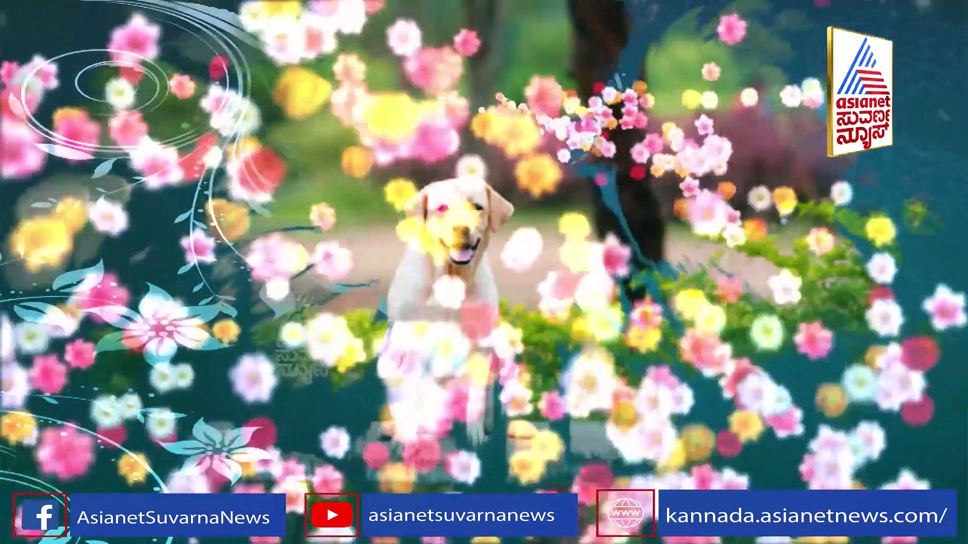 ರಕ್ಷಿತ್ ಶೆಟ್ಟಿ ಜೊತೆಗಿನ ಫನ್ನಿ ಘಟನೆ ಬಿಚ್ಚಿಟ್ಟ ರಾಜ್ ಬಿ ಶೆಟ್ಟಿ 