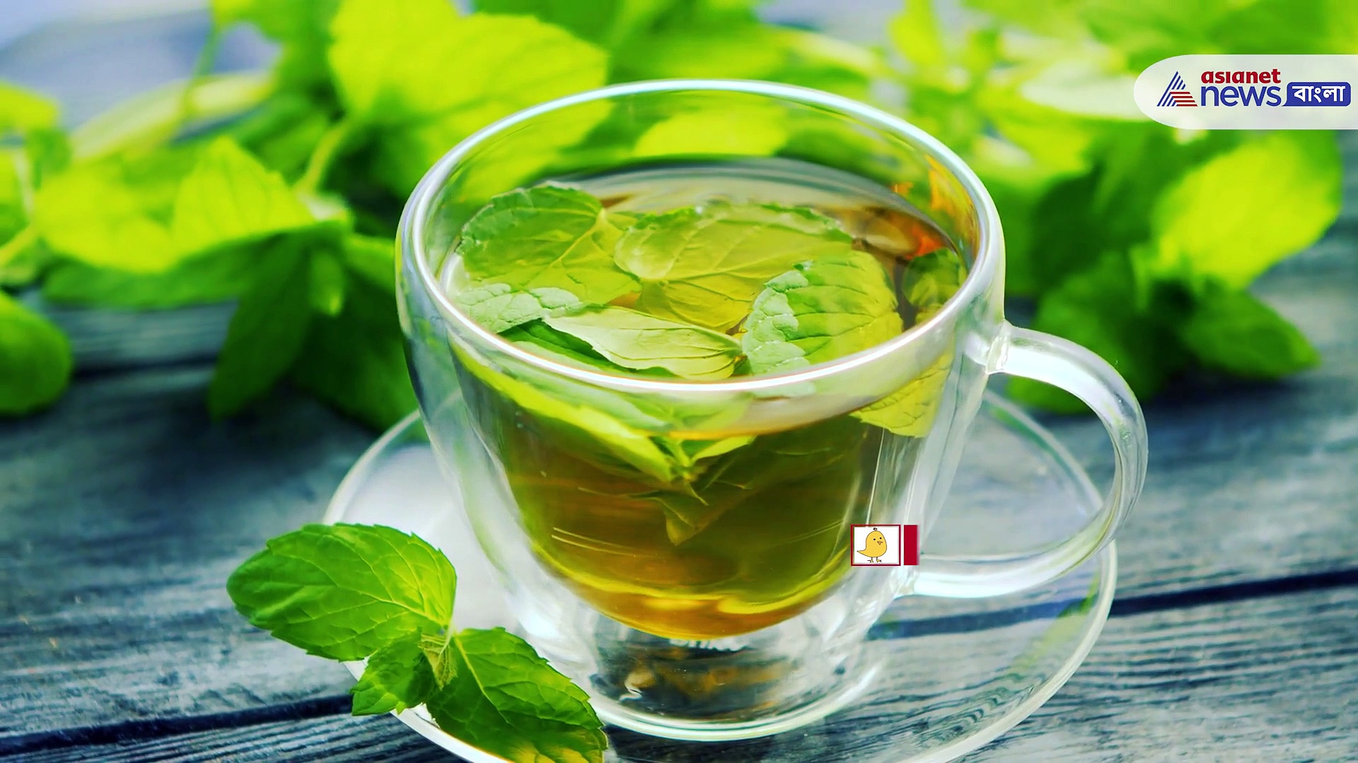 ওজন ঝরবে গ্রিন টি-তেই! তবে জানতে হবে এই চা খাওয়ার সঠিক নিয়ম