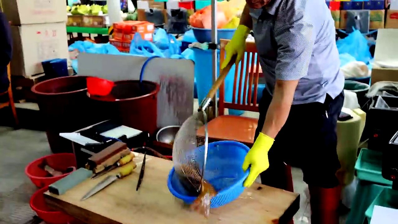 Pendekar pedang legendaris yang memotong 20 flounder seperti daun musim gugur dengan satu pisau? Pisau sashimi menari dan sashimi yang berantakan! Pasar Ikan Namchang Sashimi pendekar pedang yang mempesona / sashimi Jalan Korea