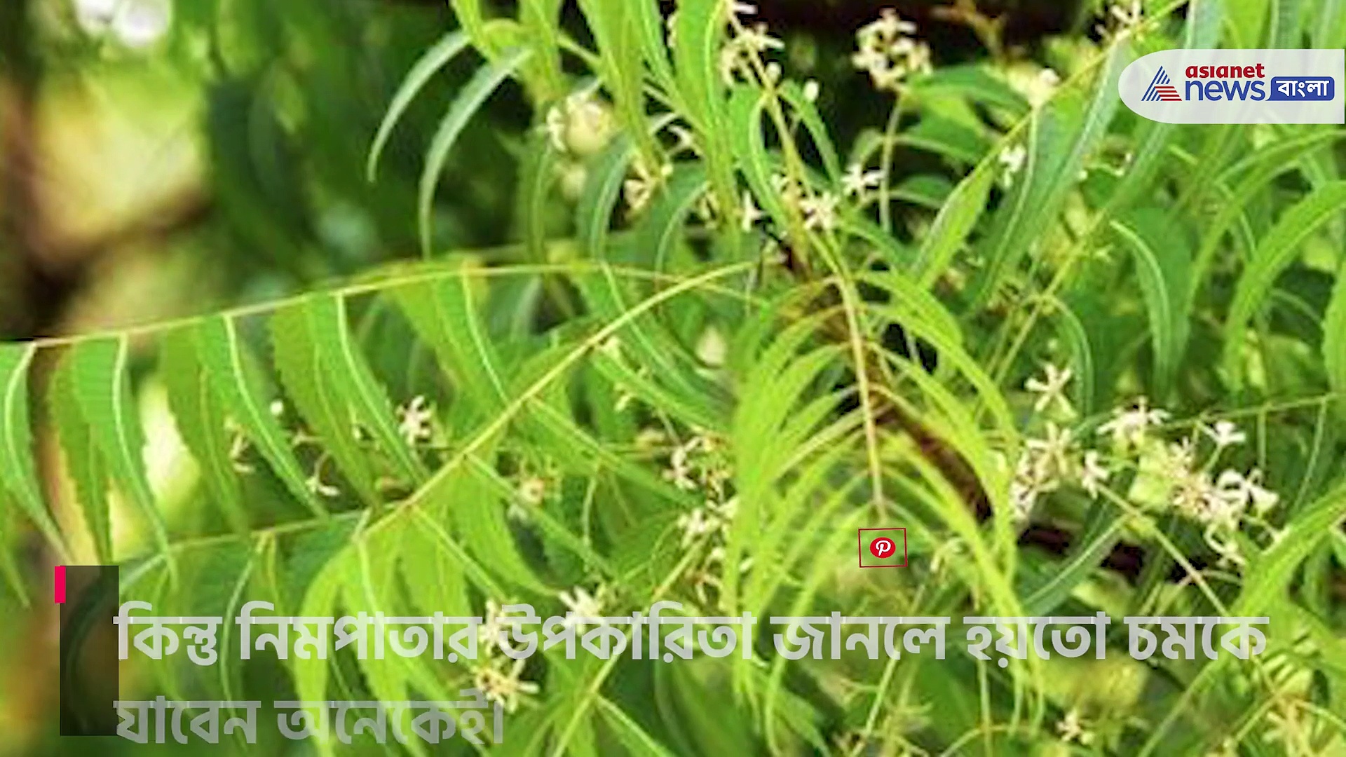 ত্বক থেকে চুলের চর্চা,  দেখুন নিম ফুলের ম্যাজিক