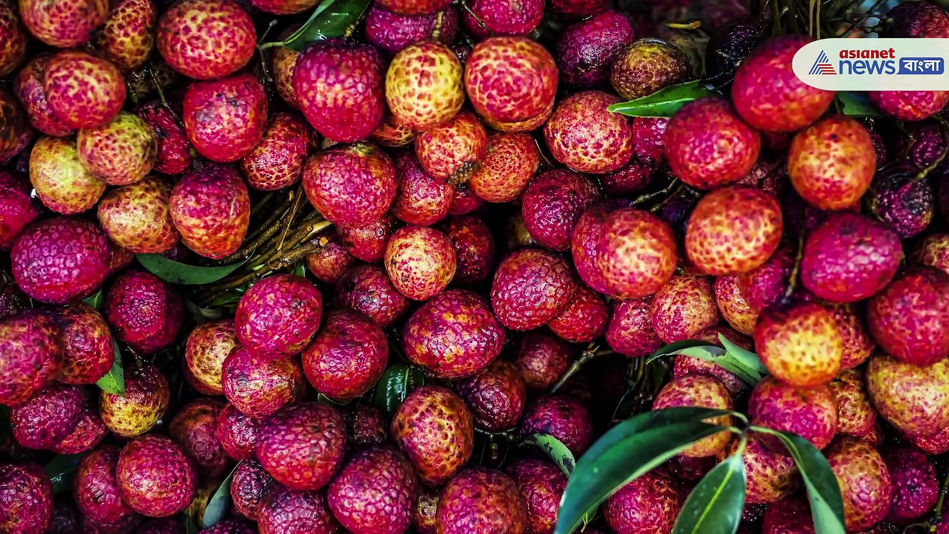 লিচুর খোসার অবিশ্বাস্য এই ৫ উপকারিতা জানলে আর ফেলবেন না