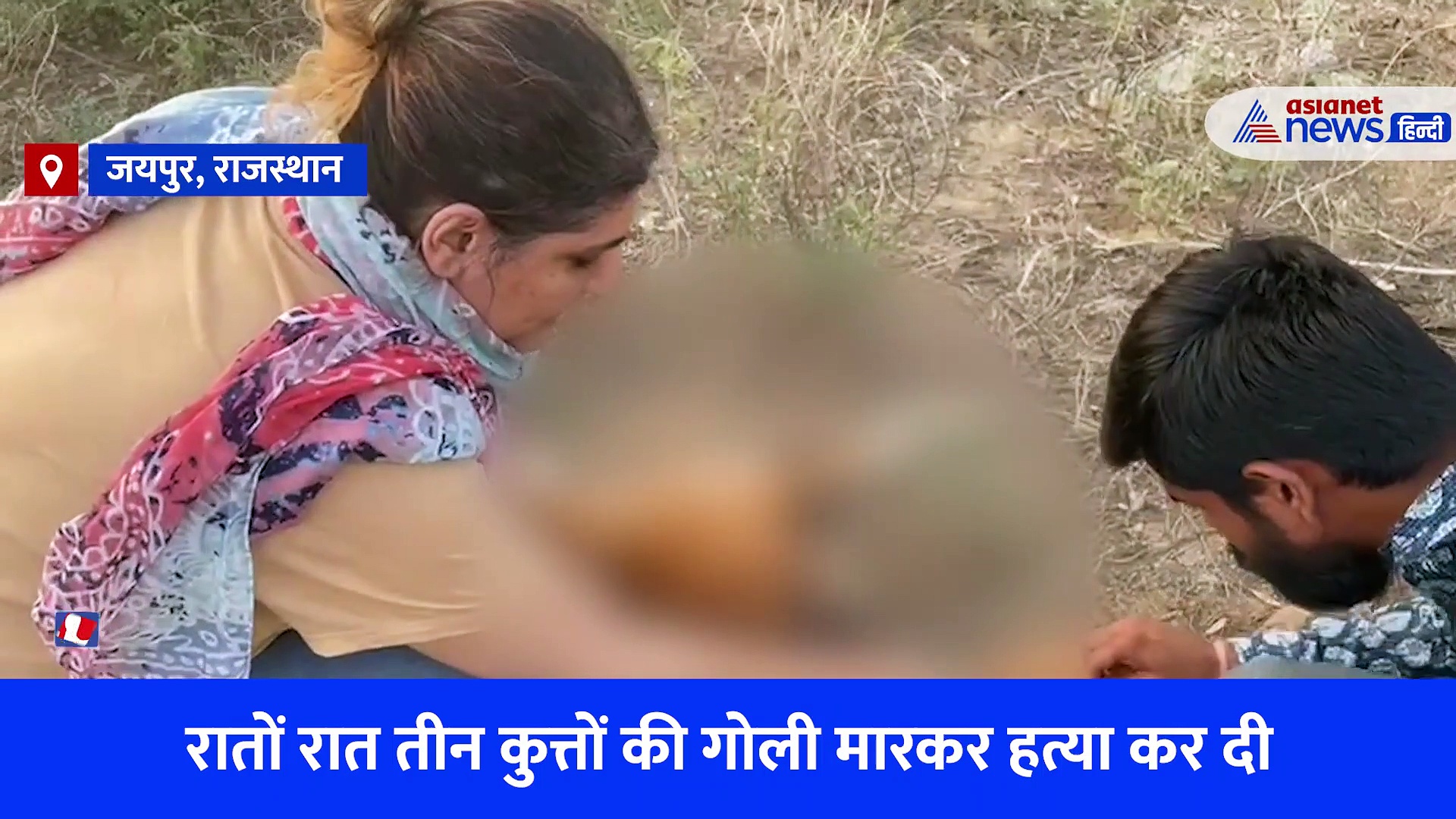 अमानवीय: बकरी को काटा तो किसान ने दी कुत्तों की सुपारी, रातों रात मरवा दिये बेजुबान जानवर