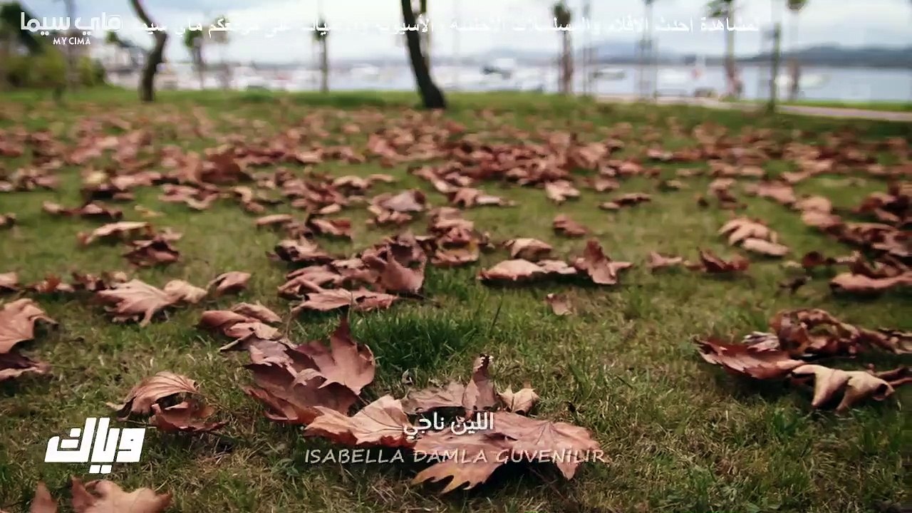 مسلسل بريق الأمل حلقة 11 مدبلجة
