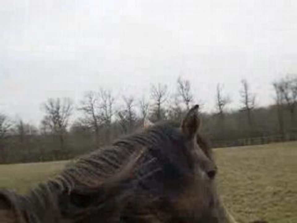 DSCN1402