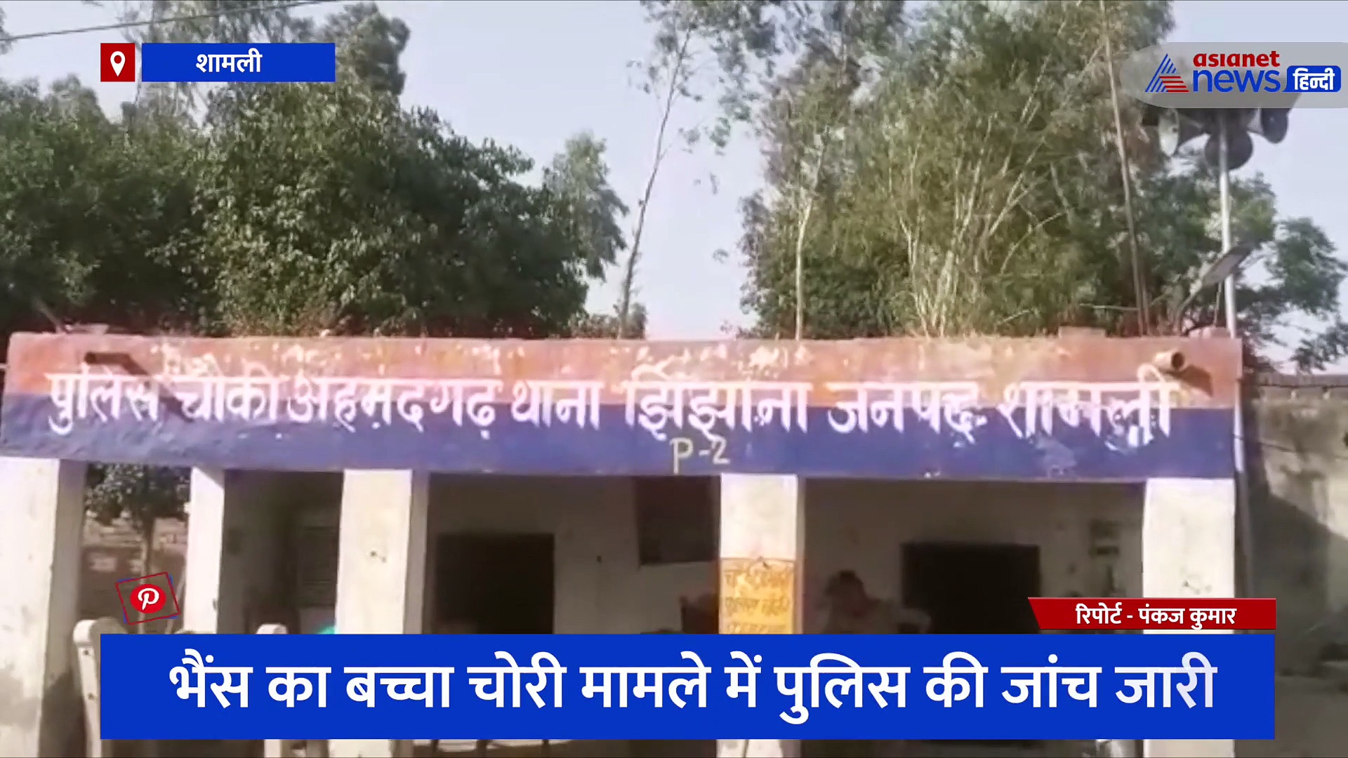 भैंस और उसके बच्चे का डीएनए टेस्ट, जानिए क्या है पूरा मामला जो बना है चर्चा का विषय