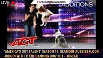 'America's Got Talent' Season 17: Glamour Aussies floor judges with their 'dancing dog' act - 1break