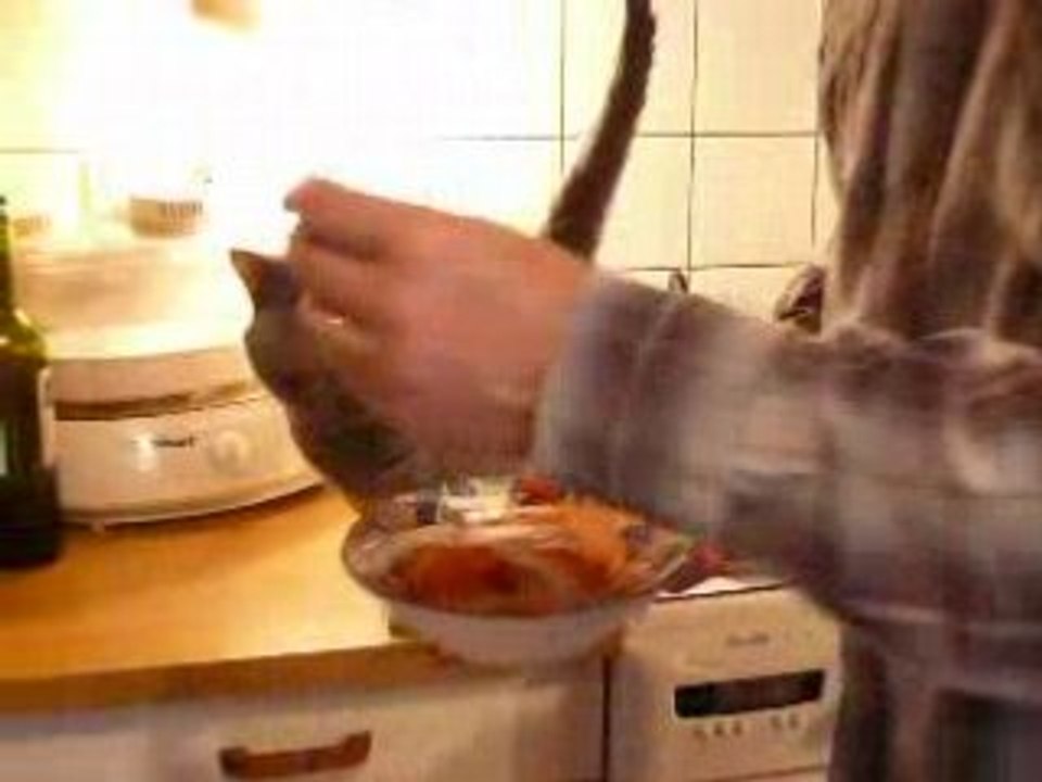 RANGOON AIME LES CREVETTES ROSES