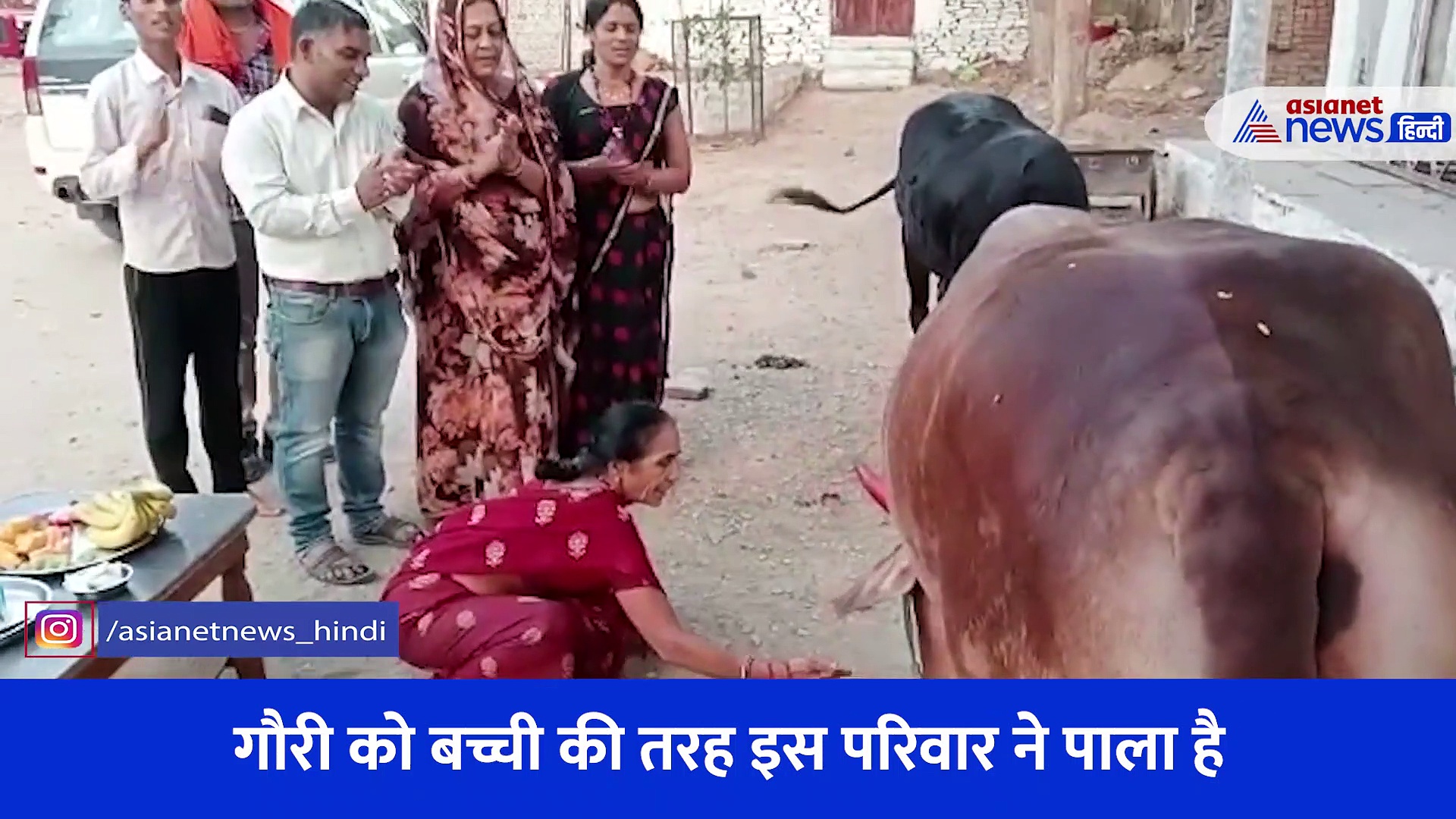  हैप्पी बर्थ-डे गौरी: 6 साल से SP साब की फैमिली मना रही है गाय गौरी का जन्मदिन, देखिए दिलचस्प वीडियो