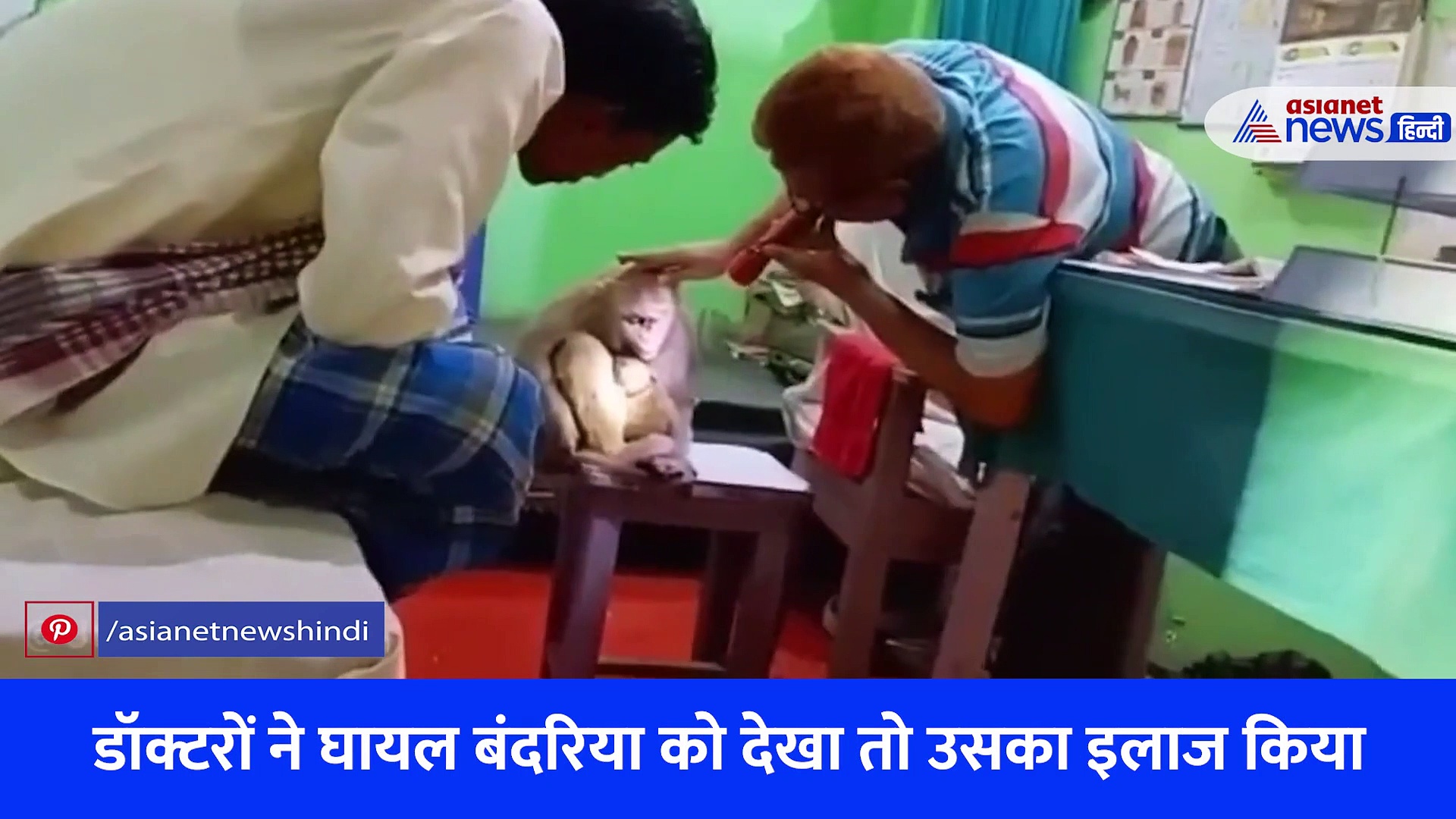 अनोखा मामला: इलाज करने खुद अस्पताल पहुंची बंदरिया, बेड पर लेट अच्छे से कराया ट्रीटमेंट, Video Viral