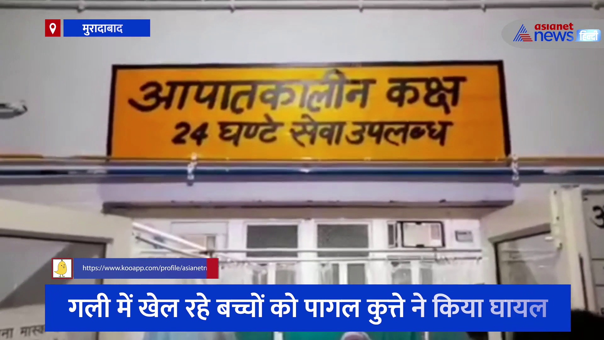 गली में खेल रहे बच्चों को पागल कुत्ते ने किया घायल, गंभीर हालत में अस्पताल में कराया गया भर्ती