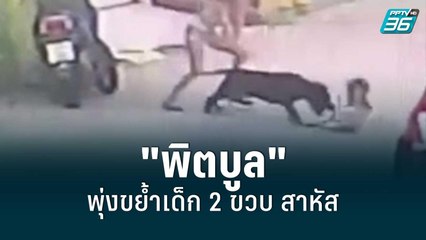 เย็บ 200 เข็ม  "พิตบูล" พุ่งขย้ำเด็ก 2 ขวบ บาดเจ็บสาหัส | เที่ยงทันข่าว | 22 มิ.ย. 65