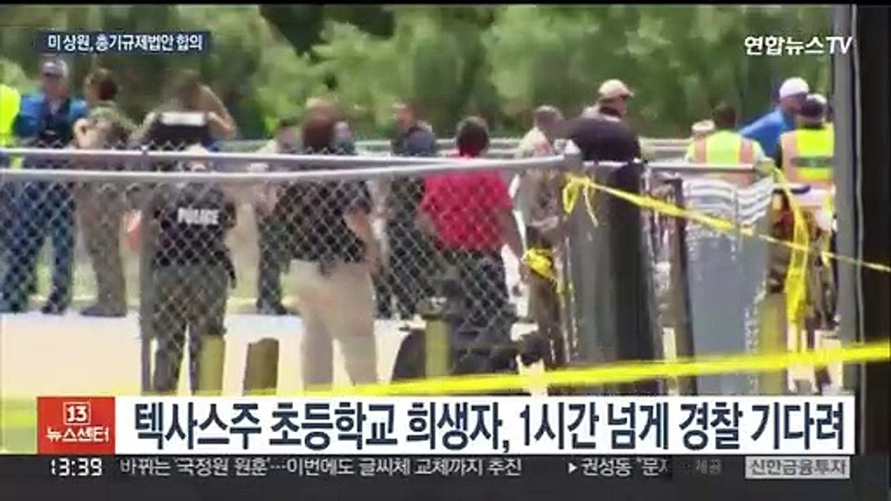 텍사스주, 총격참사 경찰대응 실패 인정…상원, 총기규제 합의