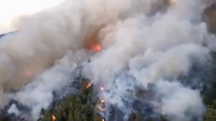 Marmaris'te havadan müdahale yeniden başladı