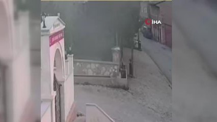 Karşısına çıkan ayıyı bağırarak korkutup kaçırdı