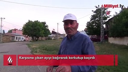 Karşısına çıkan ayıyı bağırarak korkutup kaçırdı