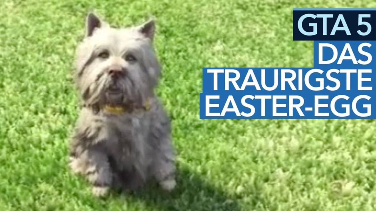 Das traurigste Easter Egg in GTA 5 - Die Geschichte um den Hund Greyfriars Bobby