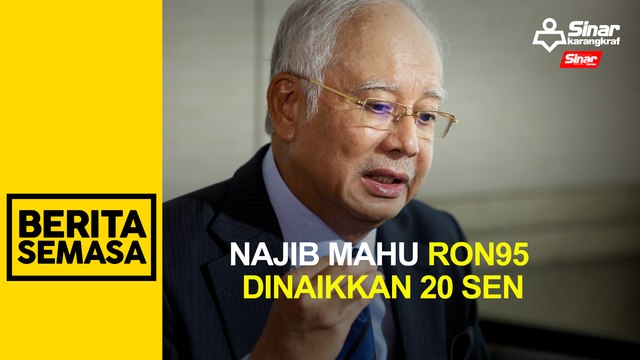 T20 banyak guna subsidi kerajaan, Najib mahu harga minyak RON95 dinaikkan