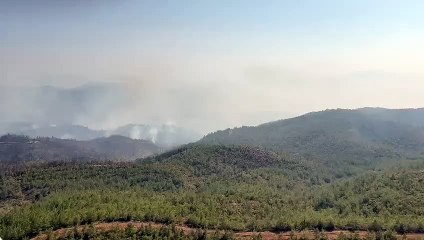 Oyuncu Şahan Gökbakar: Şu an 7-8 helikopter aktif, yer ekipleri ve AFAD canla başla devam ediyor ve gecen yıla göre koordinasyon daha iyi bilgisi geldi