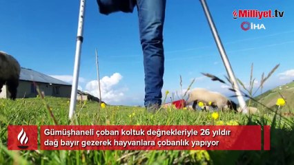 26 yıldır tek bacağıyla hayvanlarını otlatıyor