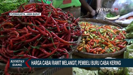 Harga Cabai Merah di Purwakarta Sentuh Rp100 Ribu, Warga Pilih Beli Cabai Kering