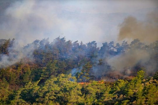 Marmaris yangını kontrol altına alındı mı? Muğla Marmaris orman yangını ne oldu, son durum nedir?