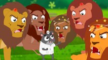 Five Big Lions Jumping On The Bed - Animal sounds - Kids TV