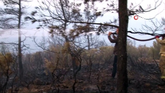 Twitter’dan itfaiyecilik yapan komedyen müsveddesi Şahan Gökbakar prime soyundu! Bu defa cevabını bakın nasıl aldı…