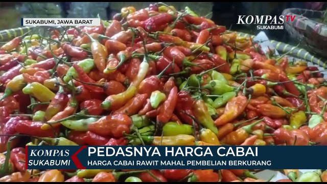 Harga Cabai Rawit Mahal Pembelian Berkurang