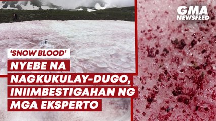 "Snow blood"—Nyebe na nagkukulay-dugo, dulot ng climate change? | GMA News Feed