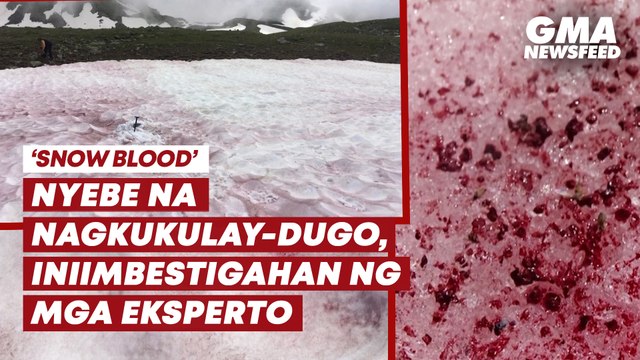 Snow blood —Nyebe na nagkukulay-dugo, dulot ng climate change? | GMA News Feed