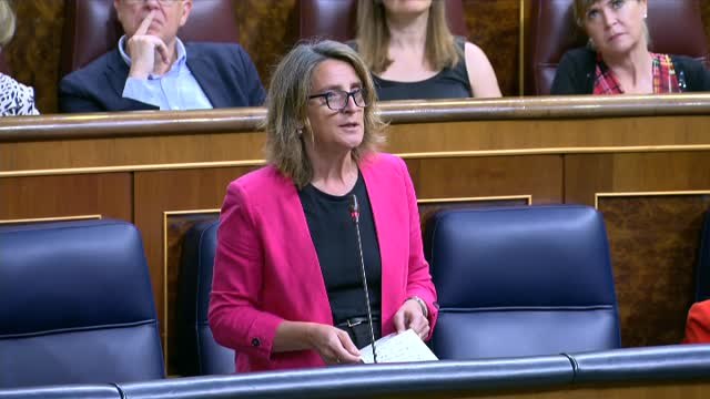 Ribera asegura que los españoles ya nos hemos ahorrado un buen pico con la excepción ibérica