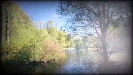 Stardust and Rainbows