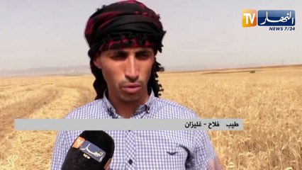 غليزان : قصة فلاح تحدى أرضا قاحلة فأنبتت مختلف أنواع الحبوب