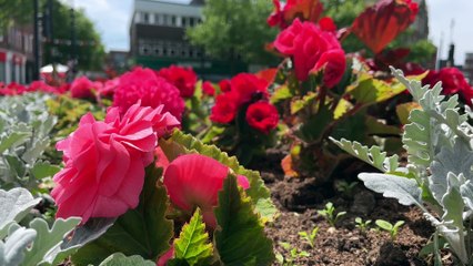 Wakefield’s Wishlist: We hear your thoughts on what makes Wakefield great, and how it can be improved