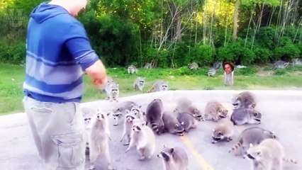 FailArmy's Top Fails Breakdown   Spring Has Sprung