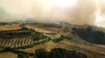 Codrongianos (SS) - Vasto incendio di macchia mediterranea (22.06.22)