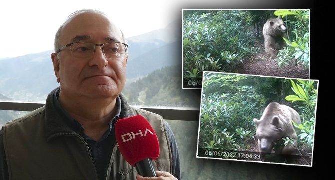 Mikdat Hoca’nın evine ayı dadandı