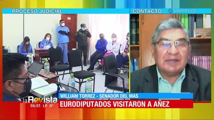 Senador del MAS califica de 'injerencia' a eurodiputados que pretendían visitar a Jeanine Añez