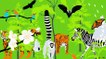 Biodiversity: Can we save plants and animals from extinction?