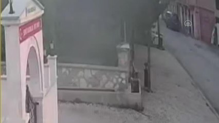 Köy meydanına inen ayı güvenlik kamerasınca görüntülendi