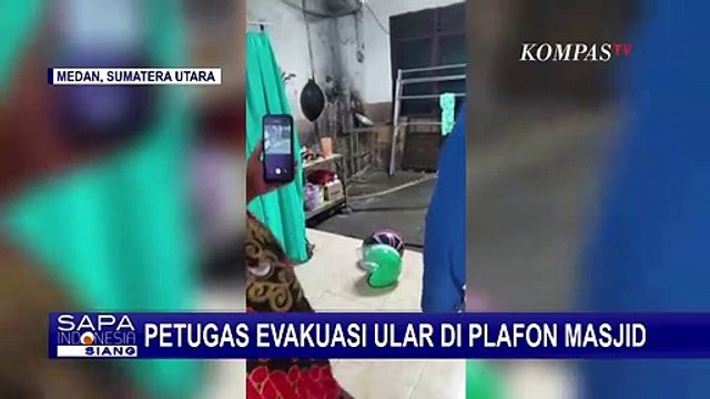 Evakuasi Ular Sanca Batik dari Atas Plafon Masjid, Petugas Damkar Sempat Kewalahan saat Hadapi Ular