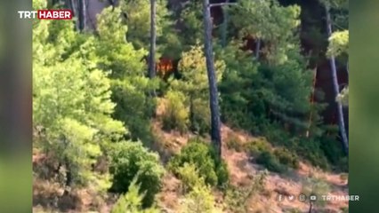 Marmaris'teki yangın yaban hayatını tehdit ediyor