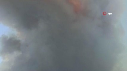 Son dakika haberleri | Yangın yönünü Okluk koyuna çevirdi