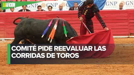 Suspensión de la Tauromaquia afecta derechos de aficionados