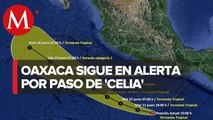 Celia' se intensifica a tormenta tropical frente a las costas de Oaxaca