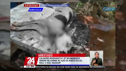 Lalaking nagkakatay at nagbebenta umano ng karne ng aso sa Nueva Ecija, huli; 3 aso, nasagip | 24 Oras