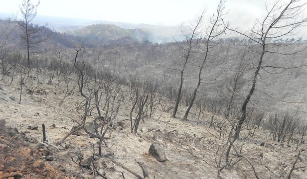 SÖZCÜ Muhabiri yangın bölgesinde izlenimini yazdı: Cennet, 4 yangında kömüre döndü